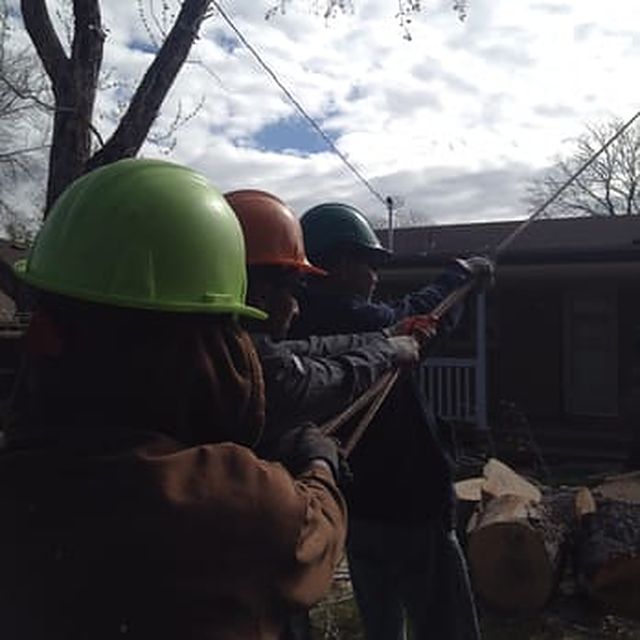 Crew in hard hats lowering a limb on a rope